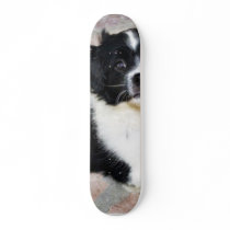 Adorable Puppy On The Ground Skate Board Deck