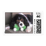 Adorable Puppy Postage