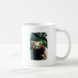 red panda, red panda bears, panda, panda bear, red panda bear, bear, animal, wildlife, wild animal, wild life, china, chinese panda, china panda, chinese panda bear, chinese, animals, panda photo, panda photograph, red panda photograph, red bear photo, red bear photograph, wild, bears, mammal, wildlife photography, wild animals