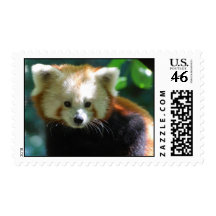 Adorable Red Panda Postage Stamp
