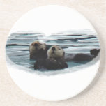 adorable sea otters coaster