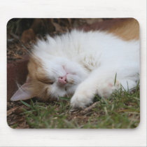 adorable sleeping cat mousepad