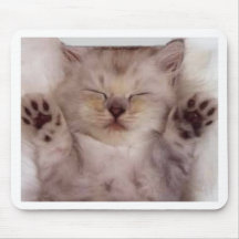 Adorable Sleeping Kitten Mousepad