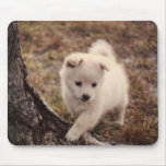Adorable Snowball Puppy Mousepad