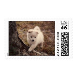 Adorable Snowball Puppy Postage Stamp