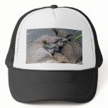 Adorable Snuggling Bat Eared Fox Pair Photo Mesh Hat