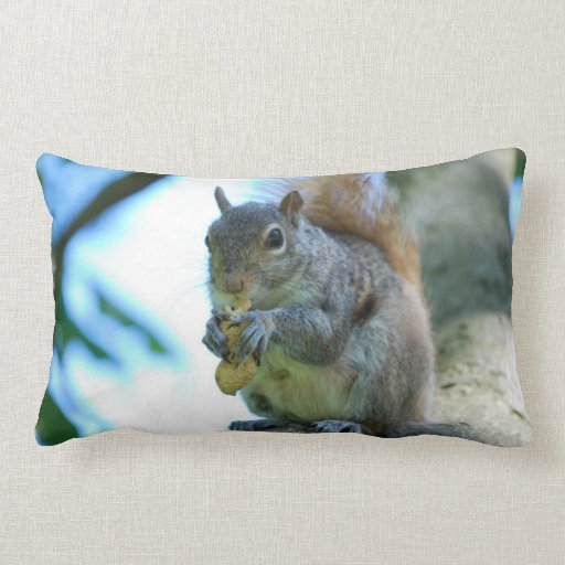 squirrel pillow pet