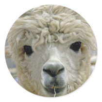 Adorable Sticker