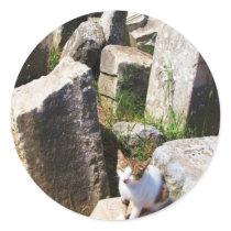 Adorable stray cat living in the ruins of Ephesus stickers