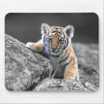 Adorable Tiger Cub Mousepad mousepads