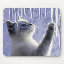 Adorable white kitten playing with icicles mouse pad