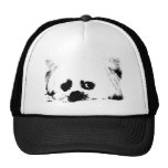 Adorable white Maltese puppy dog Trucker Hats