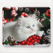 Adorable White Persian in Christmas setting Mouse Pads