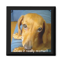 adorableeyes, Does it really matter? magnets by jenniekurono adorableeyes, Does it really matter? magnets