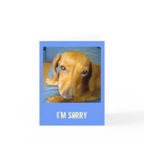 adorableeyes, I'm Sorry cards by jenniekurono adorableeyes, I'm Sorry cards