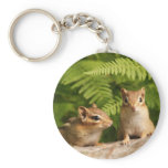 Adorably Curious Baby Chipmunks Key Chains