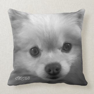 Adorably Cute Pomeranian Puppy Monogram Pillow