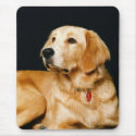 Adorably Cute Puppy Dog 1 mousepads