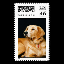 Adorably Cute Puppy Dog Postage 1Lrg postage by mickeyelvis128 Adorably Cute Puppy Dog Postage 1Lrg postage