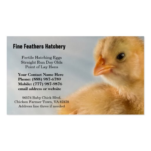 Adorably Cute Yellow Baby Chick Photo Business Card Templates (front side)
