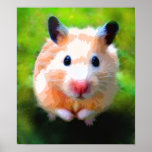 Adoration (Hamster) Fine Art Prints