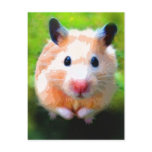 Adoration (Hamster) Postcards