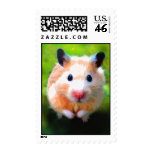 Adoration (Hamster) Stamps