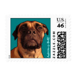 Adore-a-Bull! Postage Stamps