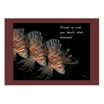Adornment ACEO Haiku Art Trading Card------------- business cards by Reflekshins Adornment ACEO Haiku Art Trading Card------------- business cards