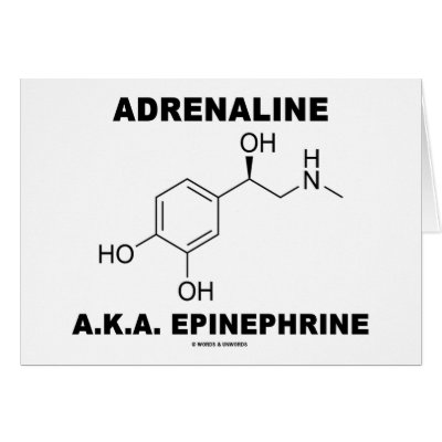 Adrenaline A.K.A. Epinephrine (Chemistry) Cards by wordsunwords
