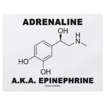 Adrenaline A.K.A. Epinephrine (Chemistry) Personalized Flyer