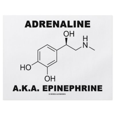 Adrenaline A.K.A. Epinephrine (Chemistry) Personalized Flyer by wordsunwords