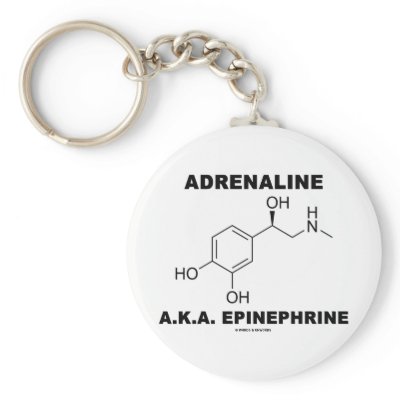 Adrenaline A.K.A. Epinephrine (Chemistry) Key Chain by wordsunwords