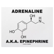 Adrenaline A.K.A. Epinephrine (Chemistry) letterhead by wordsunwords Adrenaline A.K.A. Epinephrine (Chemistry) letterhead