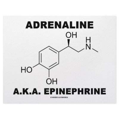 Adrenaline A.K.A. Epinephrine (Chemistry) Custom Letterhead by wordsunwords