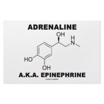 Adrenaline A.K.A. Epinephrine (Chemistry) stationery by wordsunwords Adrenaline A.K.A. Epinephrine (Chemistry) stationery