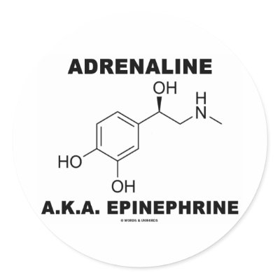 Adrenaline A.K.A. Epinephrine (Chemistry) Stickers by wordsunwords