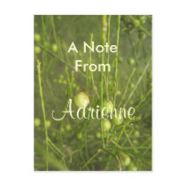 Adrienne Postcards