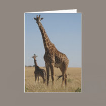 Adult & Baby giraffe cards