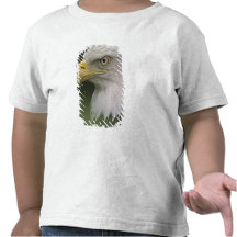 Adult Bald Eagle Portrait, Haliaeetus T-shirts