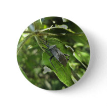 Adult Black Assasin Bug (Reduviid) Items Pinback Button