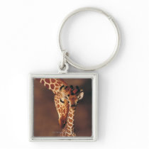 Adult Giraffe with calf (Giraffa camelopardalis) Keychain