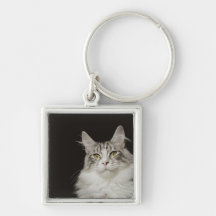 Adult Maine Coon Cat Key Chain