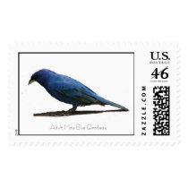 Adult Male Blue Grosbeak Stamp