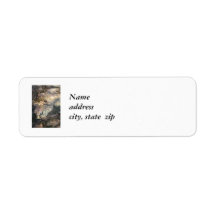 Adult Sea Turtle Return Address Labels