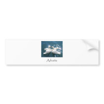 Advaita Swans bumper stickers by AdvaitaZen Advaita Swans bumper stickers