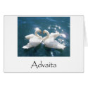 Advaita Swans cards