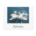 Advaita Swans Postcards