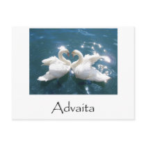 Advaita Swans postcards