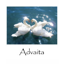 Advaita Swans t-shirts by AdvaitaZen Advaita Swans t-shirts